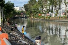 Penjelasan BPBD Surabaya Terkait Fenomena Ikan Mabuk di Sungai Kalimas - JPNN.com Jatim