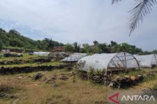 Kelompok Petani Garam di Gunungkidul Menyerah, Hasil Tak Menutupi Biaya Produksi - JPNN.com Jogja