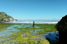 5 Pantai Menawan di Gunungkidul, Pemburu Spot Foto Wajib ke Sini - JPNN.com Jogja