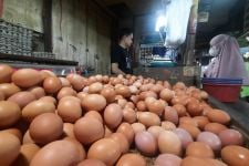 Kabar Buruk Buat Mak-mak, Harga Telur di Depok Kian Meroket - JPNN.com Jabar