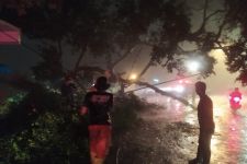 Gegara Cuaca Ekstrem 25 Bencana Kepung Kota Bogor - JPNN.com Jabar