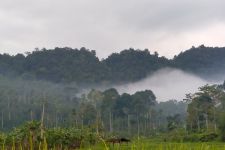 Update BMKG Lampung, 11 Wilayah Diprediksi Hujan Lebat Disertai Angin Kencang - JPNN.com Lampung
