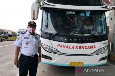 Jadwal & Tiket Bus AKAP Terminal Mengwi Bali ke Pulau Jawa Jumat (21/10), Lengkap! - JPNN.com Bali