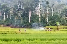 BMKG Memprediksi, 13 Wilayah di Lampung Mengalami Cuaca Ekstrem, Waspada! - JPNN.com Lampung