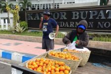 Harga Terjun Bebas, Petani di Jember Bagikan 1 Kuintal Tomat Gratis - JPNN.com Jatim