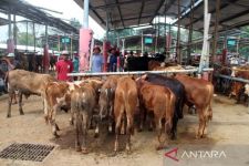5 Pasar Hewan di Boyolali Dibuka, Terapkan SOP PMK yang Ketat - JPNN.com Jateng