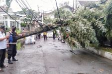 Cuaca Ekstrem Bandung, Warga Jangan Parkir Dibawah Pohon, Bahaya! - JPNN.com Jabar