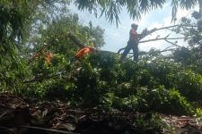Curah Hujan Tinggi, BPBD Grobogan Siapkan Sukarelawan Tanggap Bencana - JPNN.com Jateng
