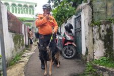 Cari 3 Korban Longsor di Gang Barjo Tim SAR Kerahkan Anjing Pelacak K-9 - JPNN.com Jabar