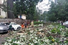 Dua Mobil Rusak Tertimpa Pohon Tumbang di UPI Bandung - JPNN.com Jabar