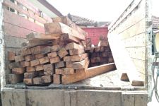 Pelaku Illegal Logging di Lumajang Ditahan, Ada yang Kenal? - JPNN.com Jatim