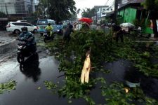 Prakiraan Cuaca Ekstrem di Lampung, Waspada Angin Kencang  - JPNN.com Lampung