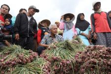 Para Petani Bawang Merah di Brebes Mengeluh, Ganjar Beri Pencerahan - JPNN.com Jateng