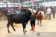 Alhamdulillah, 5 Pasar Hewan di Boyolali Kembali Dibuka - JPNN.com Jateng