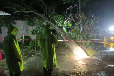 Hujan dan Angin Kencang Menerjang Kulon Progo, Rumah Warga Tertimpa Pohon - JPNN.com Jogja