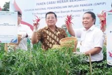 NFA Dorong Pengembangan Cabai Merah Banten - JPNN.com Banten