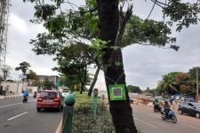 Anggaran Rp 49 Juta Digelontorkan Pemkot Depok Demi Pemasangan 1.500 Barcode Pohon - JPNN.com Jabar