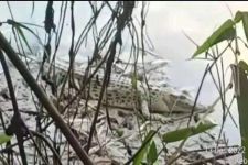 Warga Bojonegoro Waspada, Buaya Mulai Bermunculan di Sungai Bengawan Solo - JPNN.com Jatim