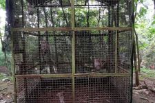 Miris! 2 Monyet Mati Kelaparan di Bogor Mini Zoo - JPNN.com Jabar