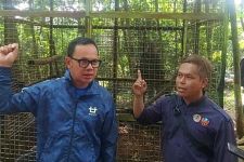 Temukan Banyak Kejanggalan, Operasional Bogor Mini Zoo Dihentikan Sementara - JPNN.com Jabar
