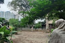 Aturan PPKM Dicabut, Pengelola Kebun Binatang Bandung Optimistis Kunjungan Meningkat - JPNN.com Jabar