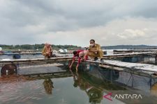 Alhamdulillah, Kematian Massal Ikan di Boyolali Mereda - JPNN.com Jateng