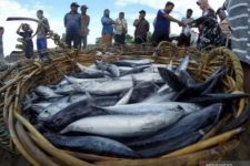 Tingkat Konsumsi Ikan di Jogja Meningkat - JPNN.com Jogja