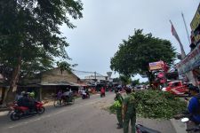 Gegara Angin Kencang, Sejumlah Tiang Listrik dan Pohon Besar di Kota Depok Tumbang - JPNN.com Jabar