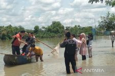 1.000 Hektare Sawah di Sragen Terendam Banjir, Petani: Kualitas Padi Jadi Jelek - JPNN.com Jateng