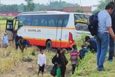 Banting Setir Hindari Bagong, Bus Harapan Jaya Terperosok ke Sawah - JPNN.com Jatim