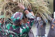 TNI-Polri Kerja Sama Bantu Kebutuhan Peternak di Lereng Merapi - JPNN.com Jateng