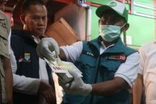 Menjelang Lebaran, Dispangtan Bandung Pastikan Harga Daging Sapi Stabil - JPNN.com Jabar