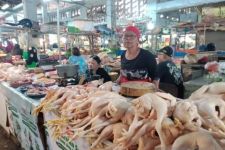 Daging Ayam Ras di Jember Meningkat Jelang Lebaran, Ini Penyebabnya - JPNN.com Jatim