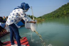 Ratusan Ribu Benih Ikan Nila Disebar Pemerintah di 17 Embung di Kabupaten Purwakarta - JPNN.com Jabar