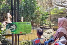 Hari Ketiga Lebaran, Kebun Binatang Bandung Ramai Diserbu Wisatawan - JPNN.com Jabar