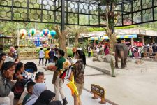 Libur Lebaran: Taman Safari Indonesia Diserbu Belasan Ribu Wisatawan - JPNN.com Jabar