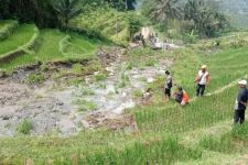 Persawahan di Desa Tumpak Pelem Ponorogo Ambles Akibat Tanah Gerak - JPNN.com Jatim