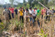 Mayat Wanita Setengah Telanjang Ditemukan di Lahan Perhutani Ngawi, Mengenaskan! - JPNN.com Jatim