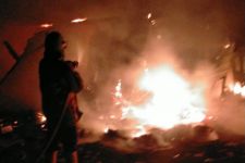 Kandang Ternak di Keputih Surabaya Terbakar, 50 Ekor Bebek Gosong - JPNN.com Jatim