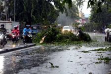 5 Wilayah di Lampung Mengalami Cuaca Ekstrem, Masyarakat Waspada  - JPNN.com Lampung