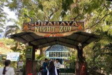 Tak Penuhi Kuota, Surabaya Night Zoo Sempat Ditutup  - JPNN.com Jatim