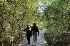 Segera Diresmikan, Kebun Raya Mangrove Gunung Anyar Jadi Satu-satunya di Indonesia    - JPNN.com Jatim