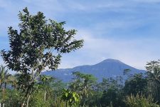 Benarkah Gunung Slamet Berstatus Siaga? BPBD Banyumas Buka Suara - JPNN.com Jateng