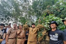 Kabar Baik Petani Kelengkeng di Lampung Timur dari Gubernur Arinal - JPNN.com Lampung