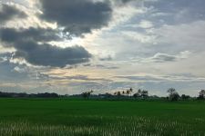 Prakiraan Cuaca Hari Ini di Banten, BMKG Beber Prediksinya Begini - JPNN.com Banten