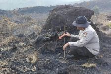 Polres Malang Selidiki Penyebab Pasti Kebakaran Gunung Arjuno - JPNN.com Jatim