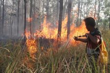 8 Hektare Hutan Lereng Gunung Lawu Kebakaran - JPNN.com Jatim