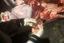 DKPP Surabaya Temukan Daging Gelonggongan Dijual di Kawasan Pegirian - JPNN.com Jatim
