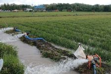 Kementan Beri Bantuan Pompa Air Cegah Dampak Buruk El Nino - JPNN.com Jatim