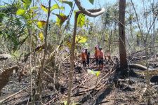 Lansia di Kulon Progo Tak Bisa Menyelamatkan Diri di Tengah Kebakaran Lahan - JPNN.com Jogja